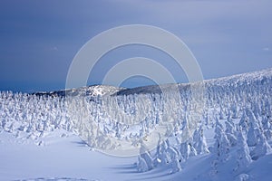 Snow Monsters of Mt.Zao in Yamagata, Japan